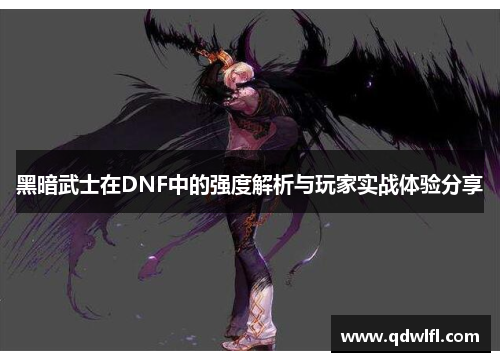 黑暗武士在DNF中的强度解析与玩家实战体验分享